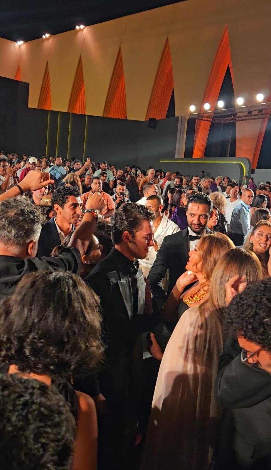 مهرجان الجونة (2)