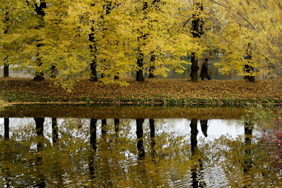 طقس الخريف في سانت بطرسبرغ (5)