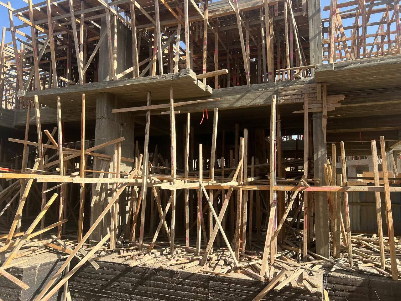 1001019916 1001019916