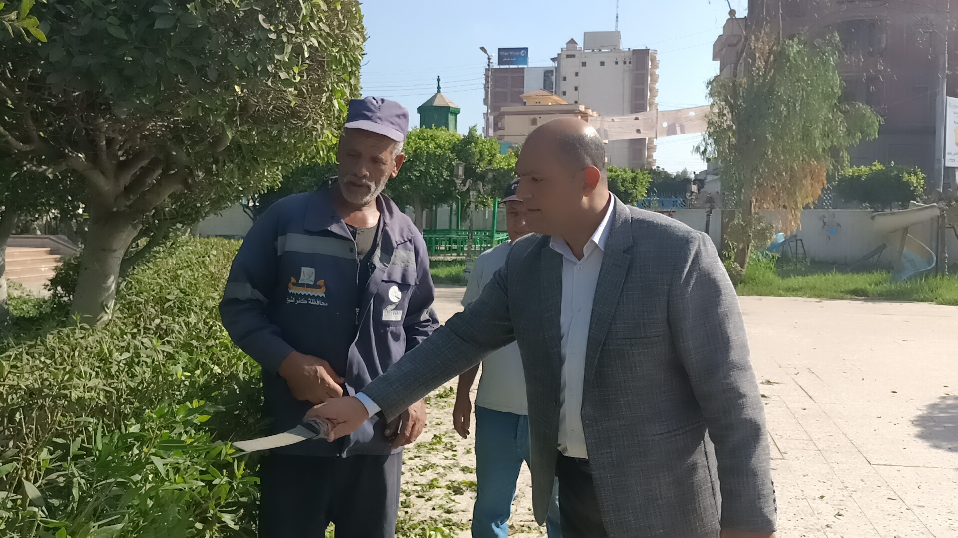 تهذيب الأشجار