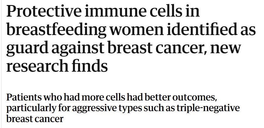 سرطان الثدى سرطان الثدى