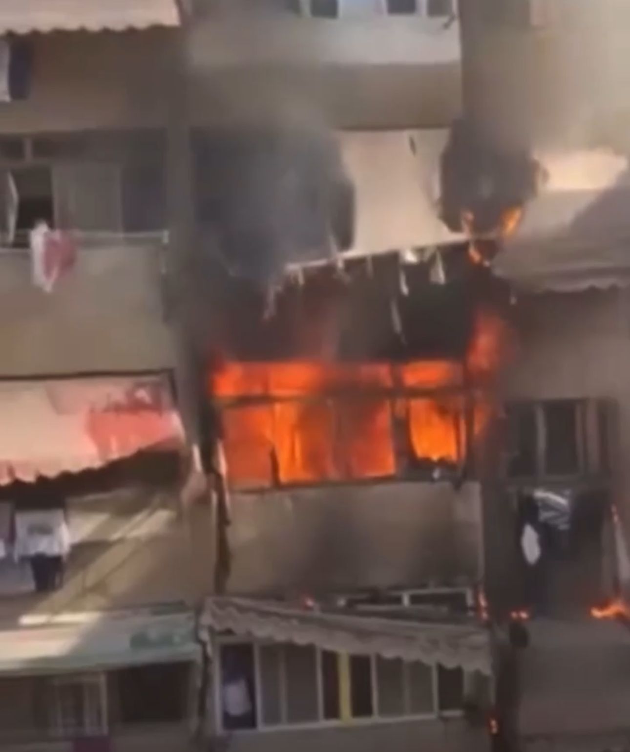 حريق في الزهور حريق في الزهور