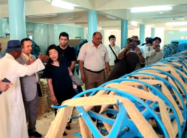 صناعة السجاد اليدوى بقرية البشندى فى الوادى الجديد (8)