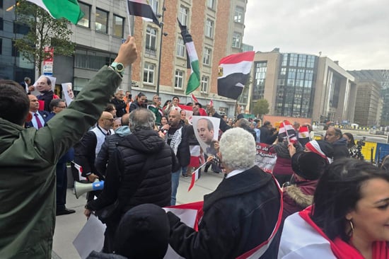 وقفة تأييد للرئيس السيسي أمام المفوضية الأوروبية (3)
