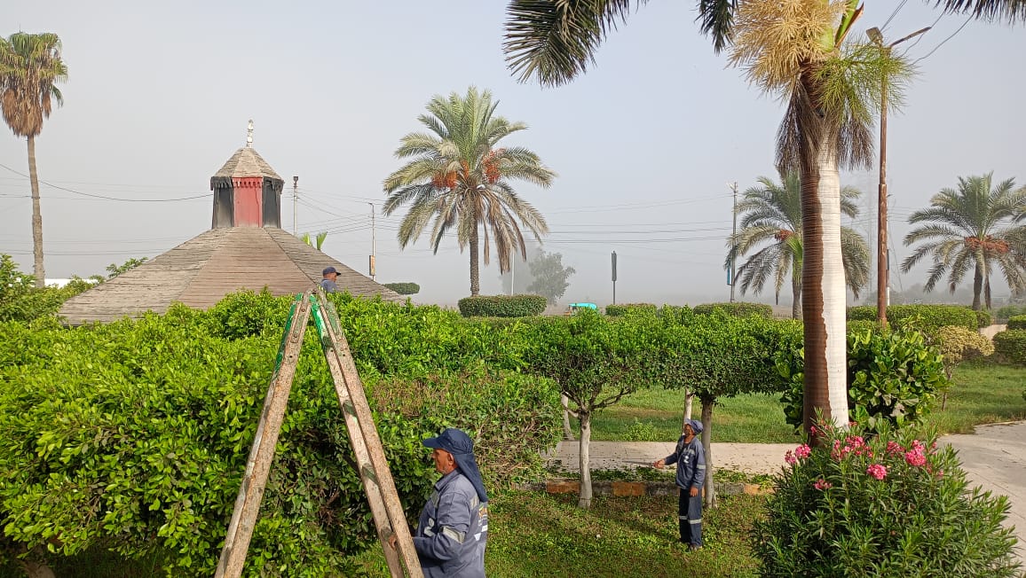 تقليم الأشجار