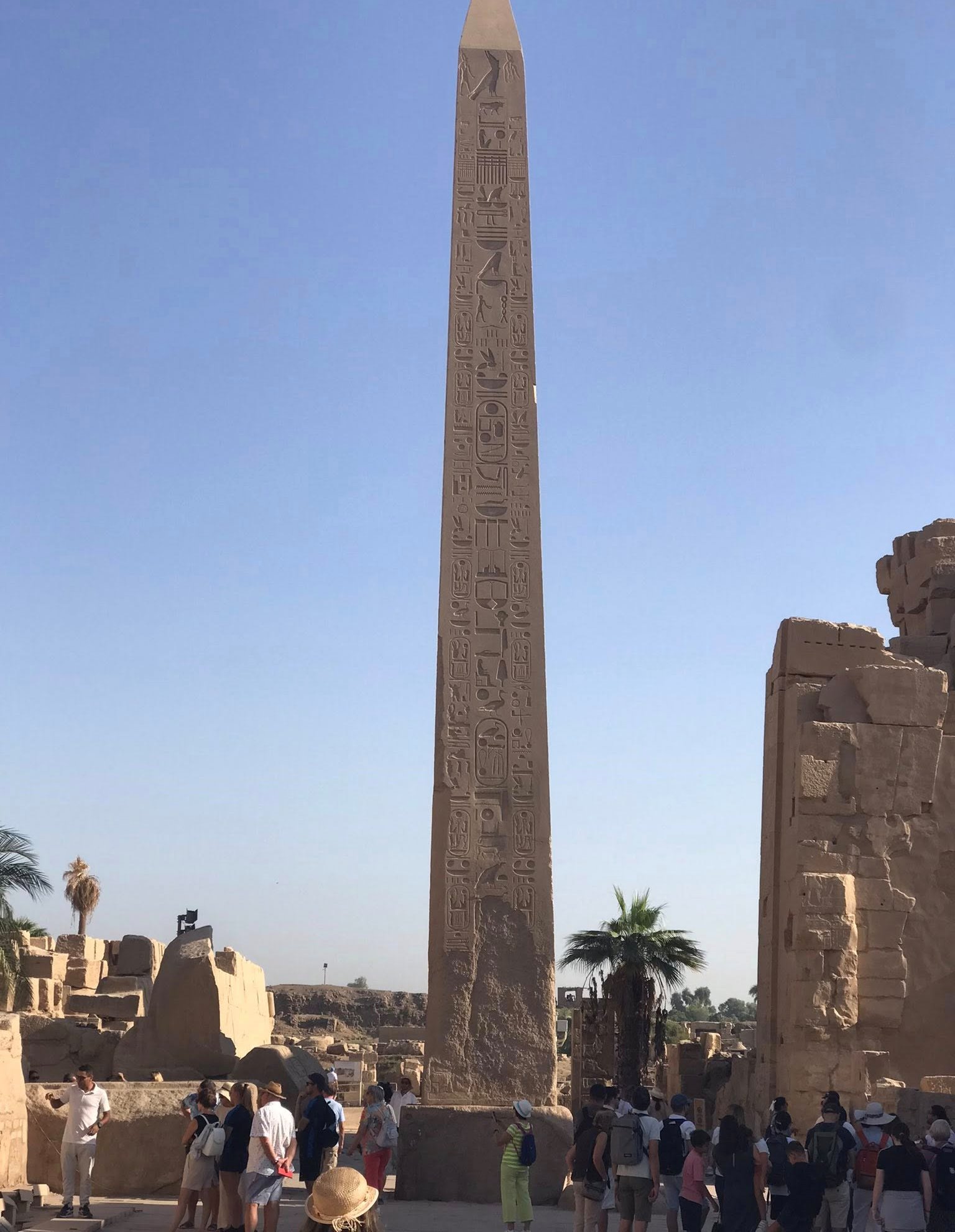 جانب من استمتاع السائحين بين مسلات معابد الكرنك