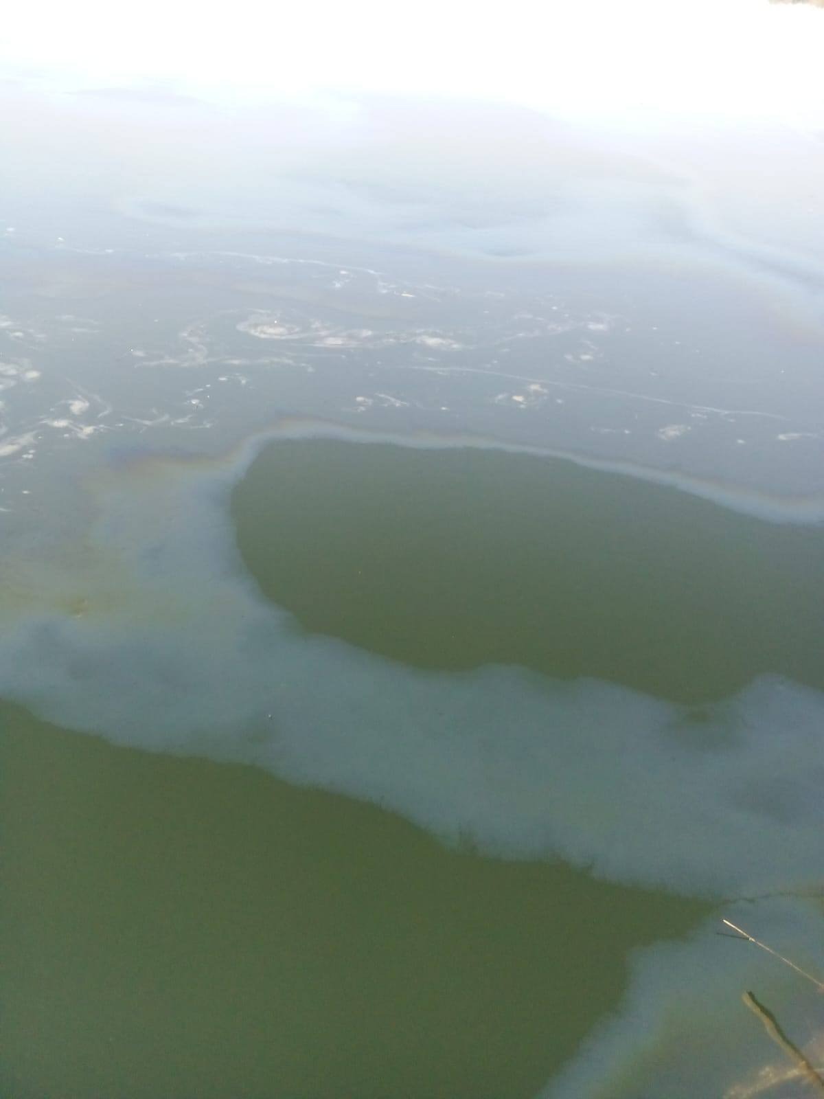 ظهور مواد بترولية في مجرى النيل من مخلفات المراكب بالطود ظهور مواد بترولية في مجرى النيل من مخلفات المراكب بالطود