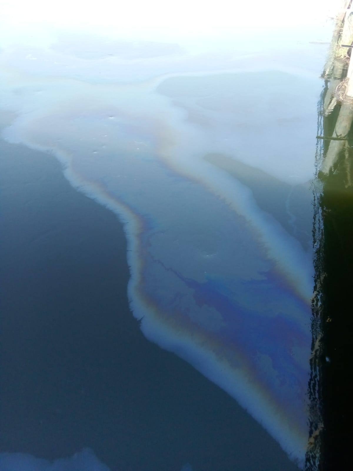 وقف محطة مياه الطود بالأقصر بعد ظهور مواد بترولية في مجرى النيل وقف محطة مياه الطود بالأقصر بعد ظهور مواد بترولية في مجرى النيل