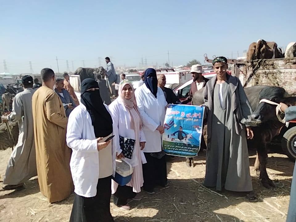 حملات توعية بسوق المواشي  بكفر الشيخ