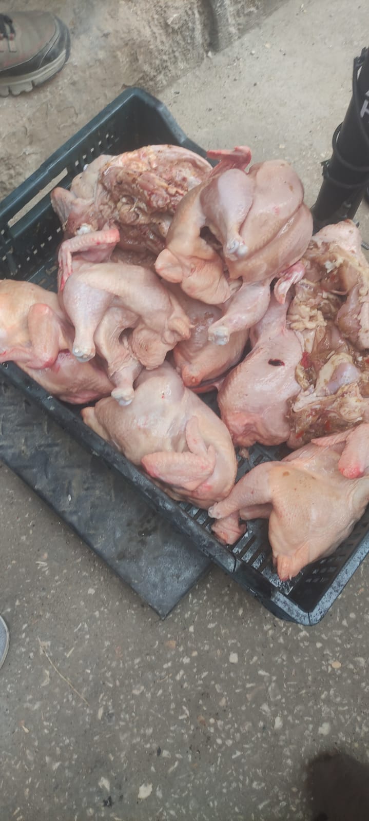 لحوم غير صالحة لحوم غير صالحة