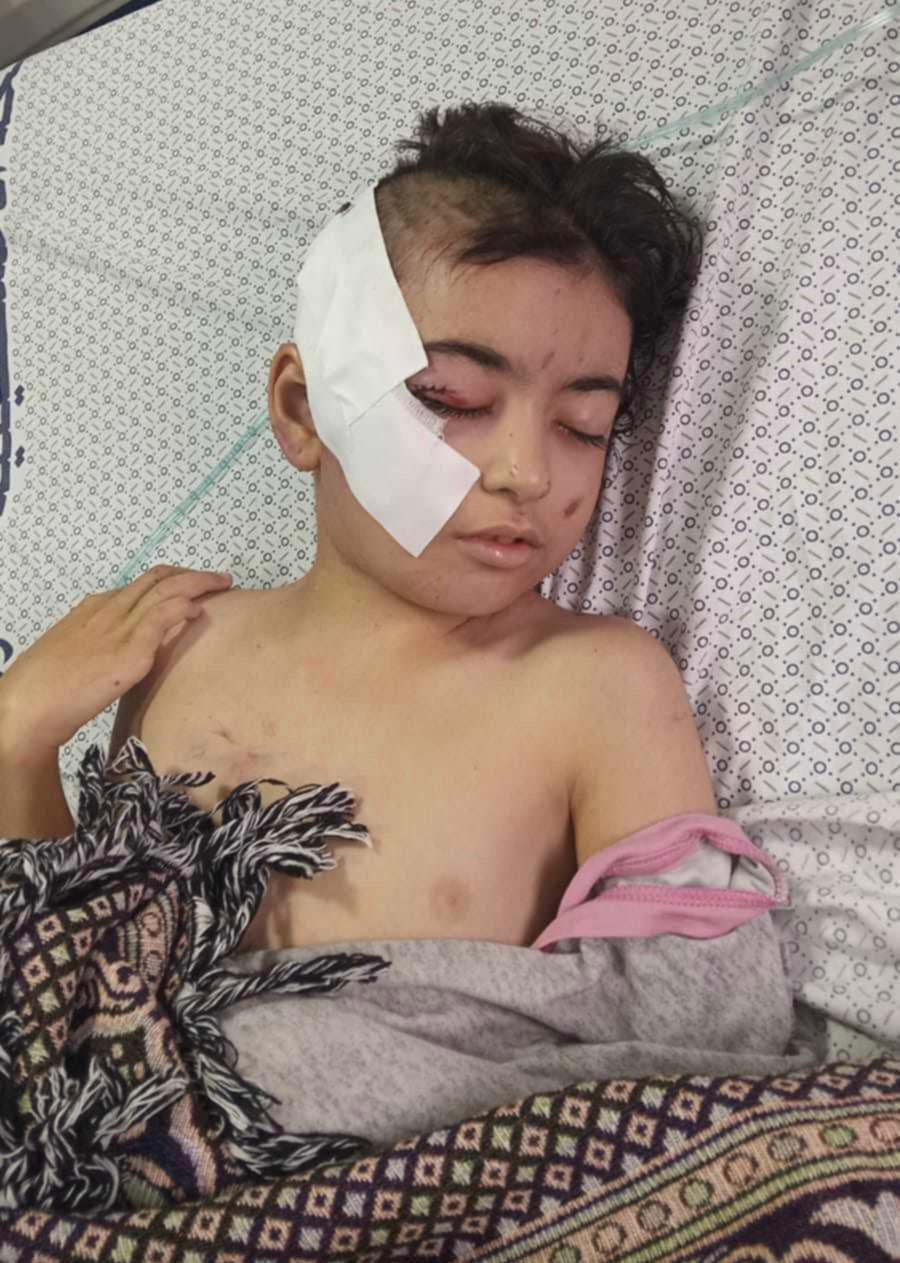 الطفلة ديما أبوشكيان الطفلة ديما أبوشكيان