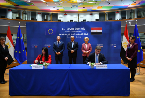 الرئيس-السيسى-يشارك-في-القمة-المصرية-الأوروبية-(15)