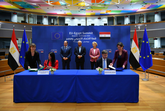 الرئيس-السيسى-يشارك-في-القمة-المصرية-الأوروبية-(14)
