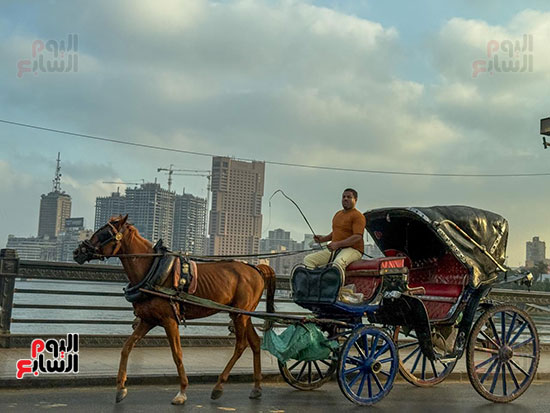 طقس خريفى مائل للبرودة فى الصباح الباكر بالقاهرة والجيزة (10)