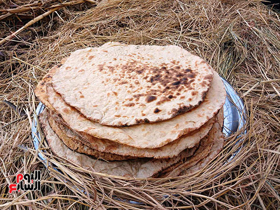 العيش--الفلاحى العيش--الفلاحى