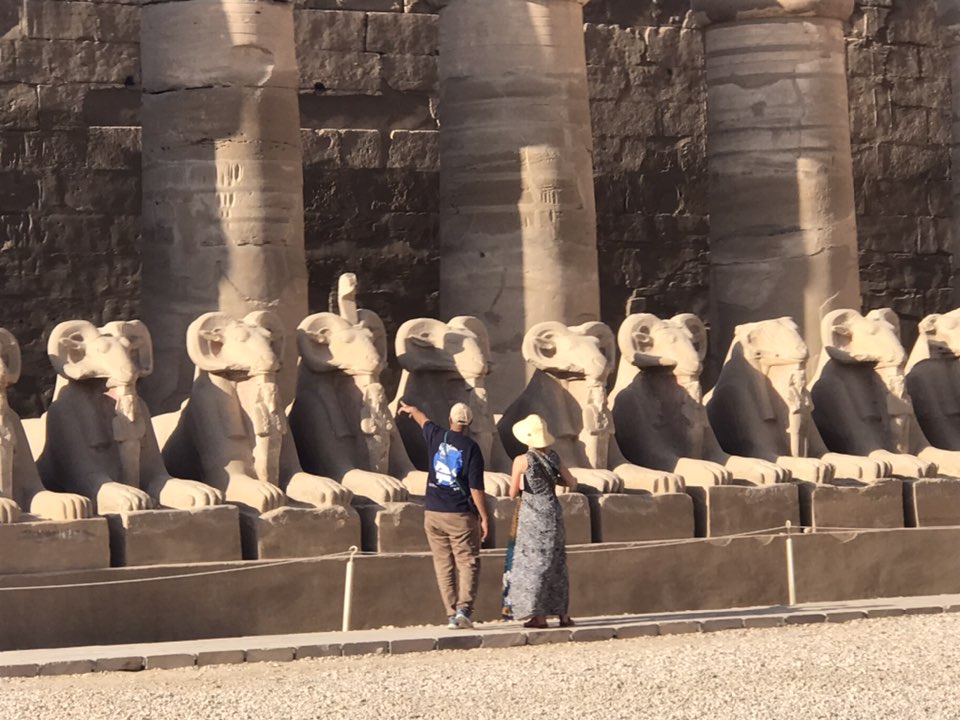 سياح يستمتعون بين كباش الكرنك سياح يستمتعون بين كباش الكرنك