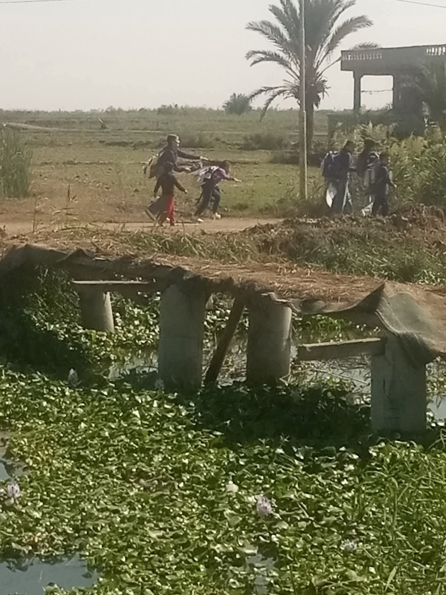 كوبري متهالك جنةب بورسعيد كوبري متهالك جنةب بورسعيد