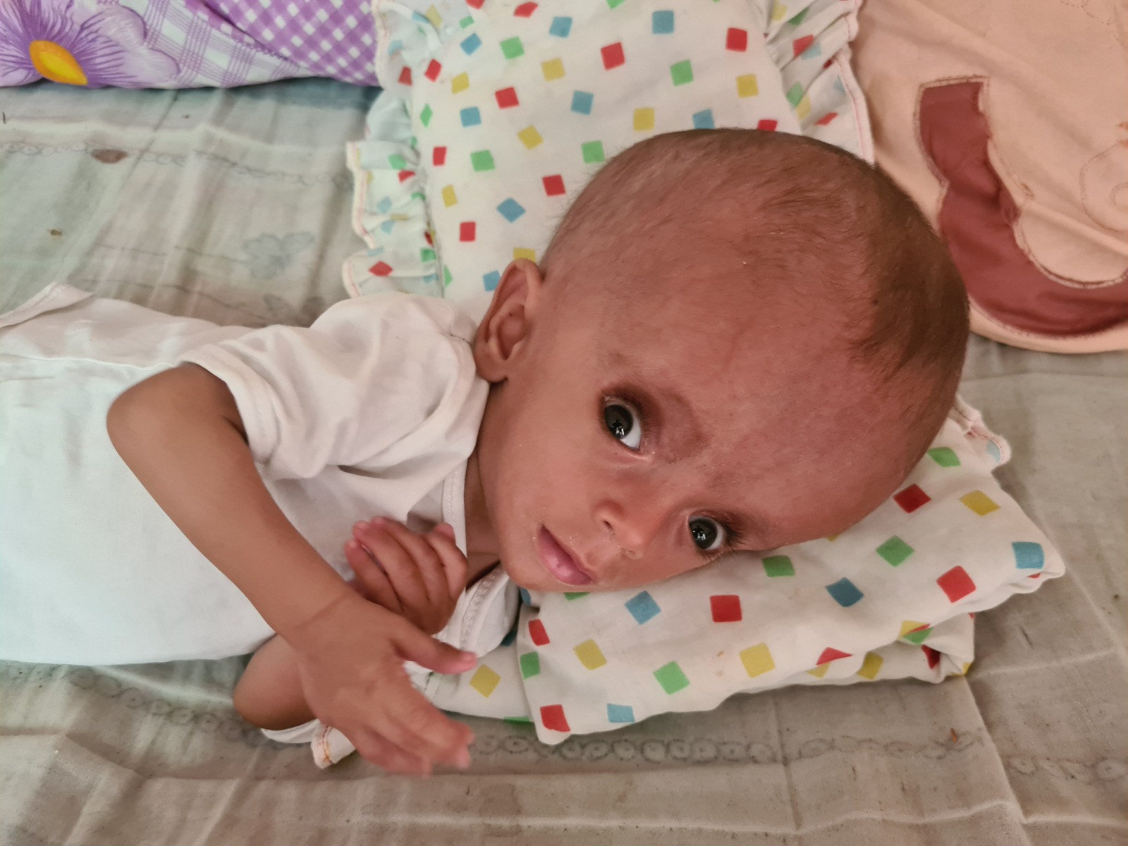 d08e6e62-36c9-448c-b917-583df0b8040b