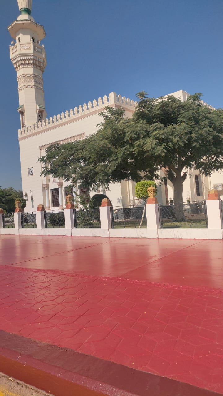 تجميل طريق مطار القاهرة  (12) (1)
