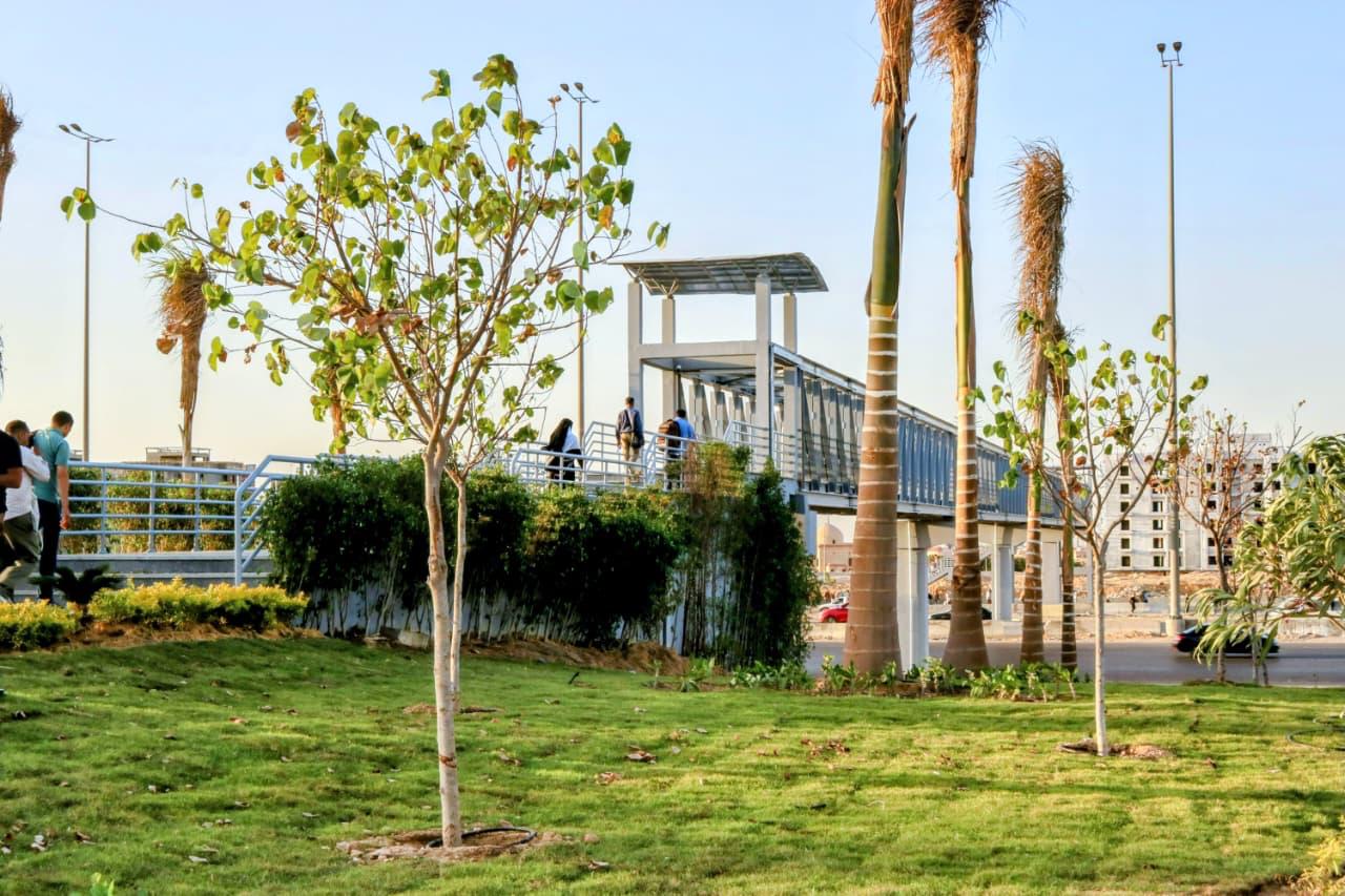 WhatsApp Image 2025-10-24 at 2.01.38 PM (3)