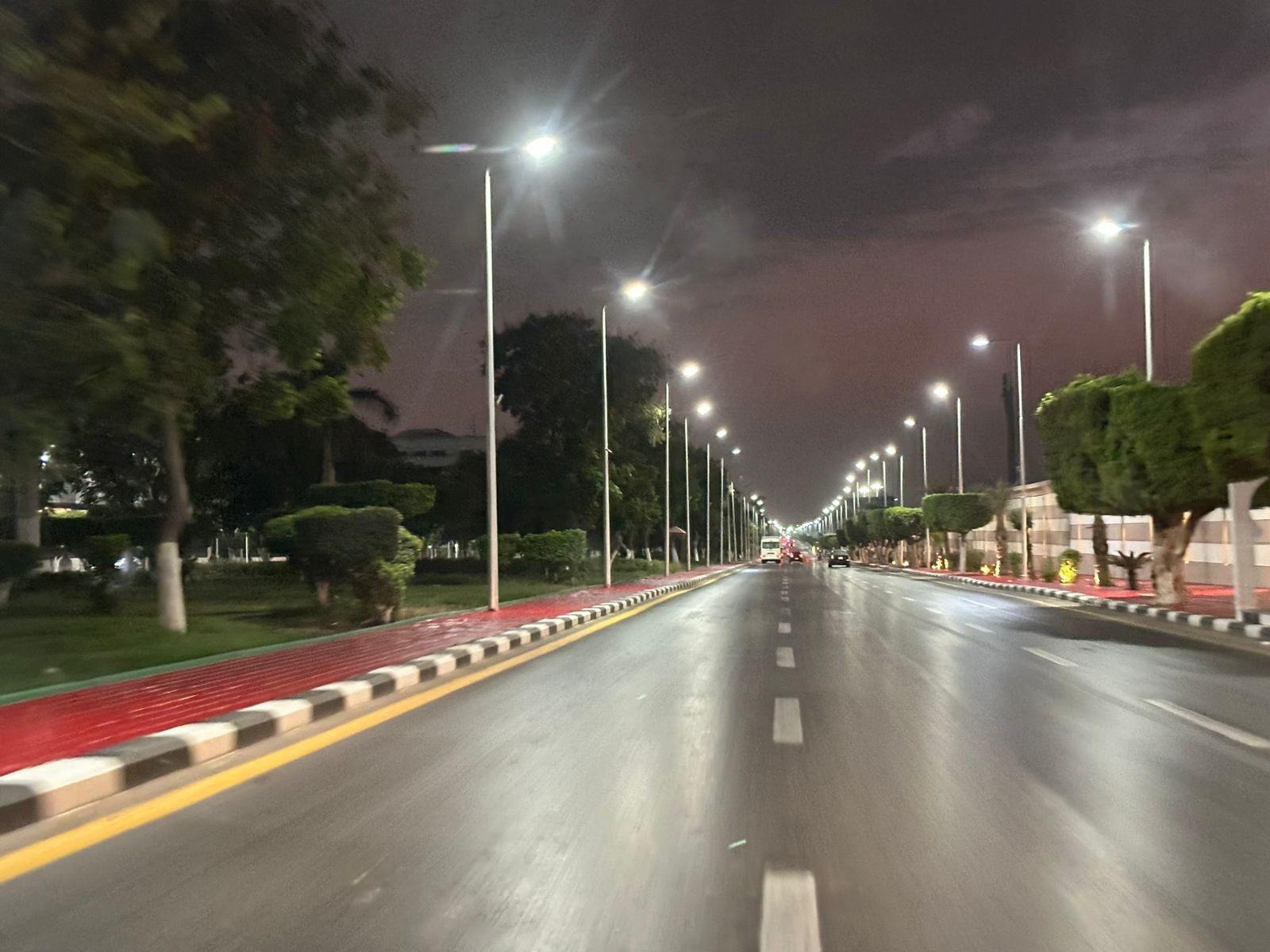 تجميل طريق مطار القاهرة  (5)