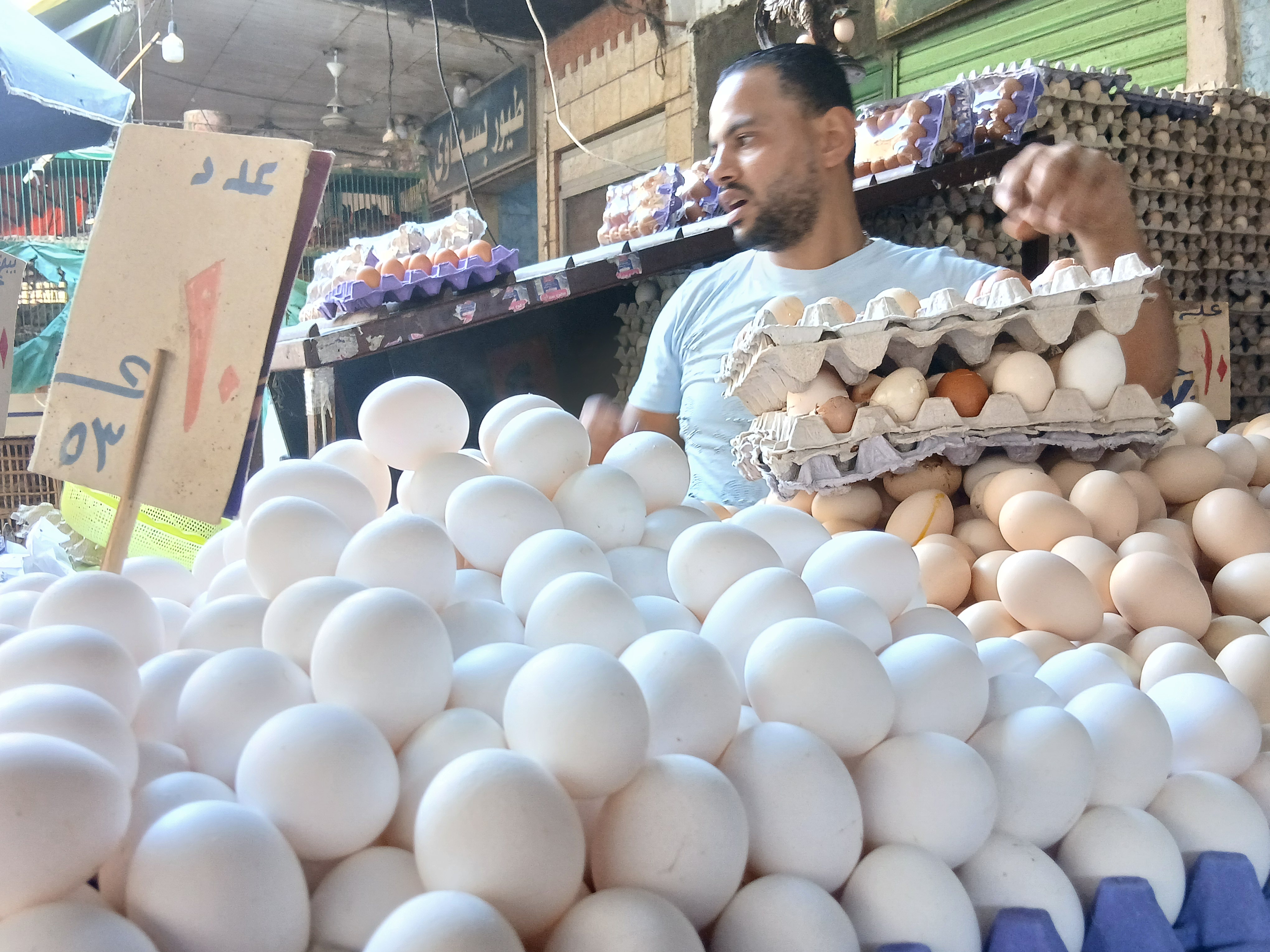 البيض في أسواق الإسكندرية البيض في أسواق الإسكندرية