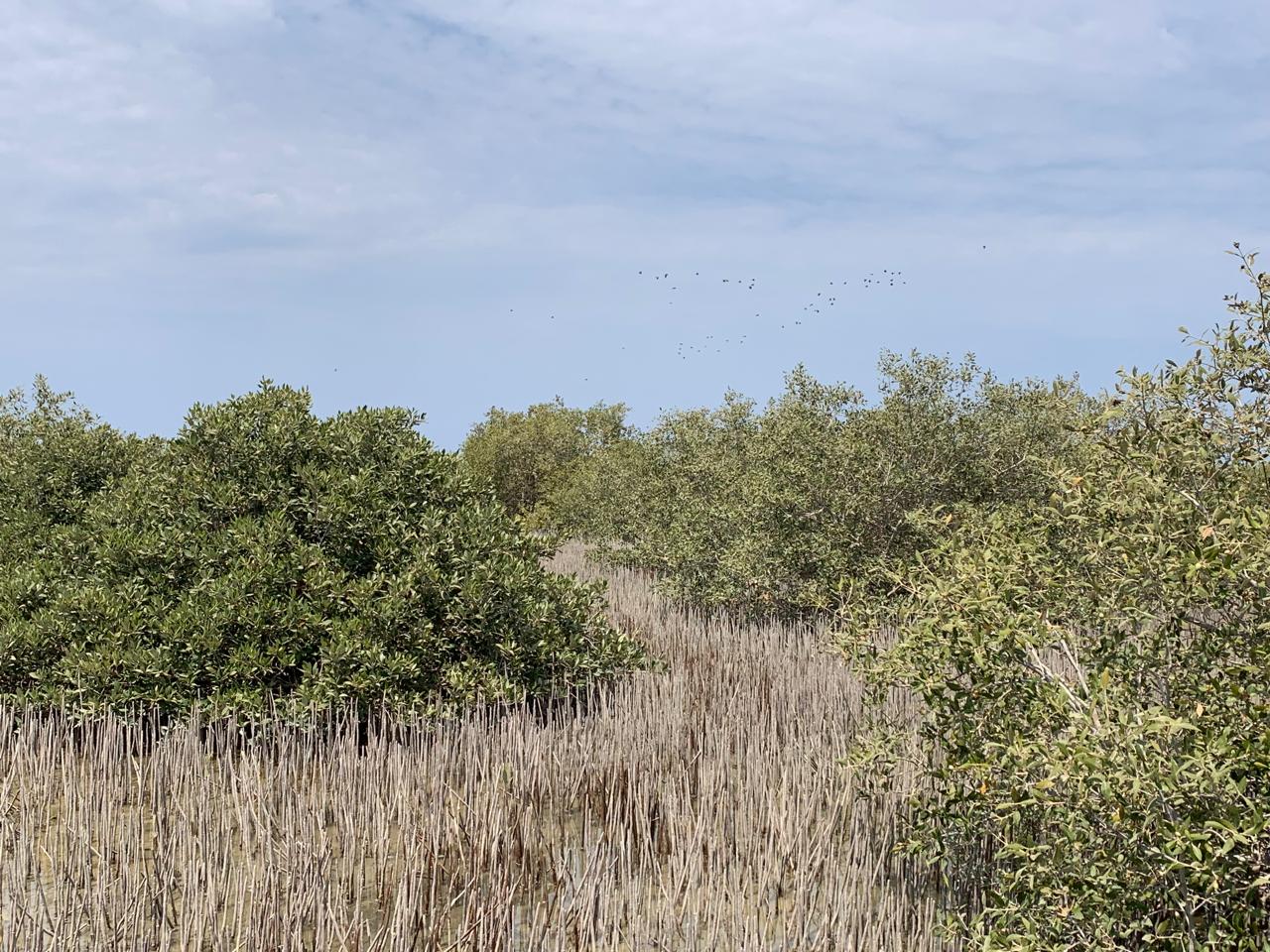 جانب من،جمال الجنوب جانب من،جمال الجنوب