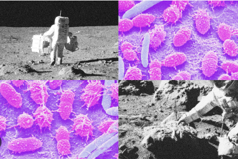 نفايات بشرية