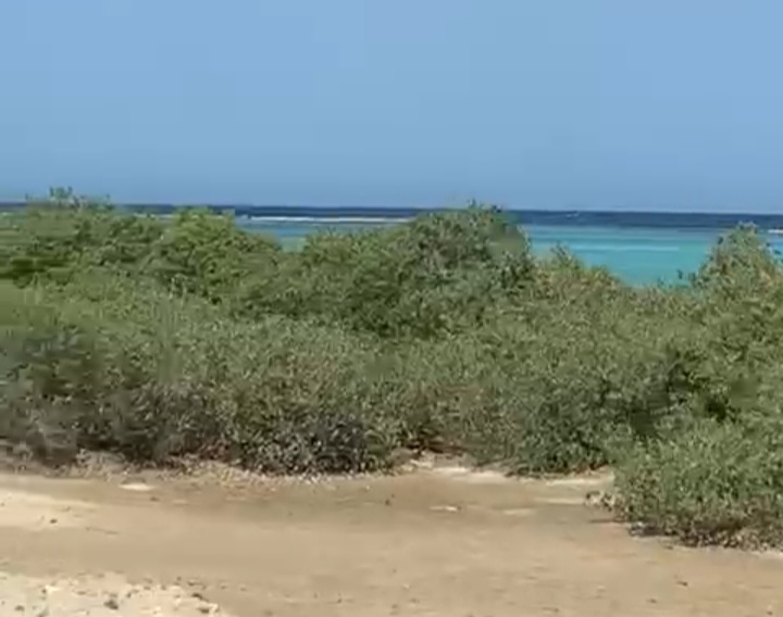 الطريق الساحلى بالبحر الأحمر، الطريق الساحلى بالبحر الأحمر،