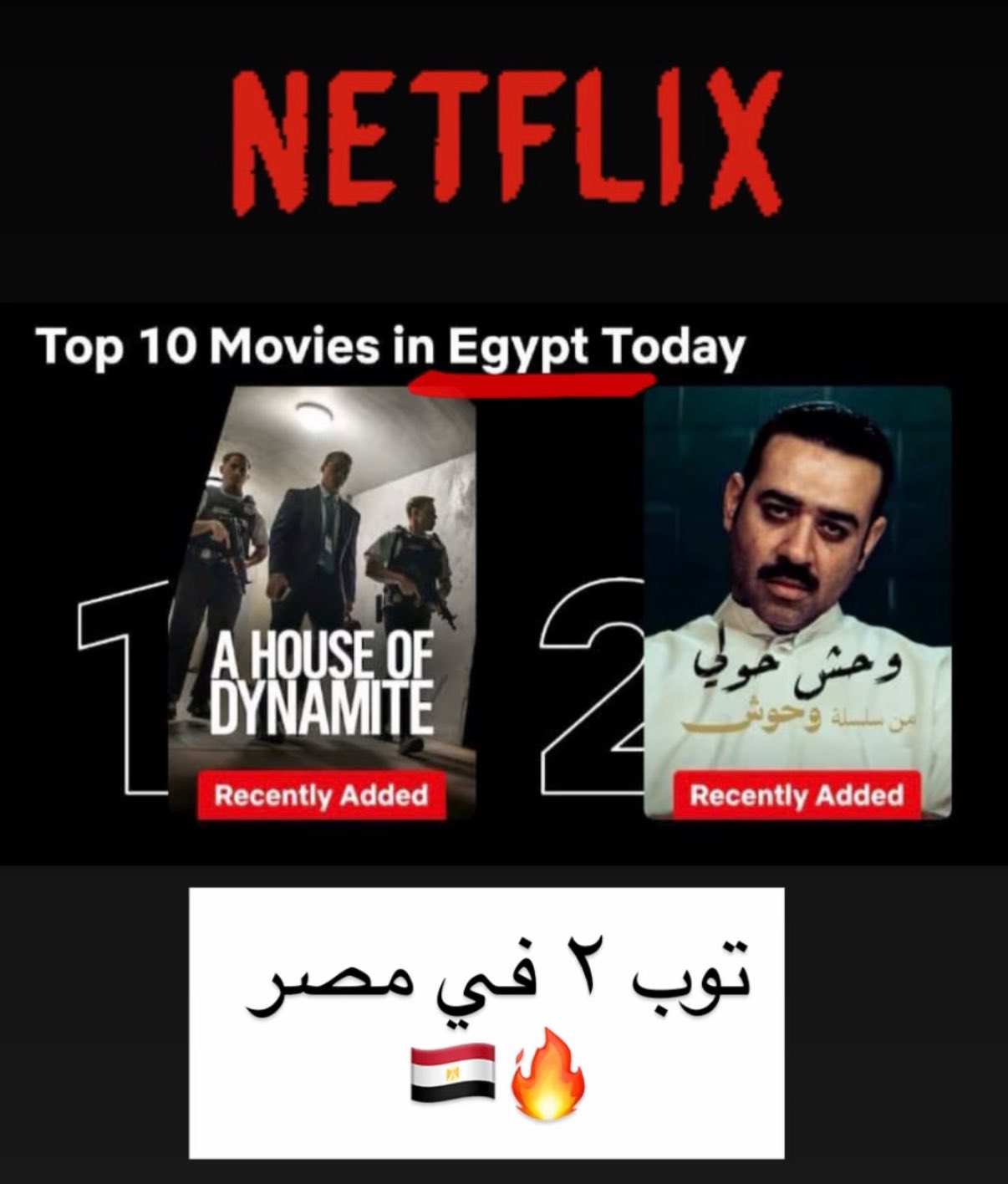 وحوش حولي وحوش حولي