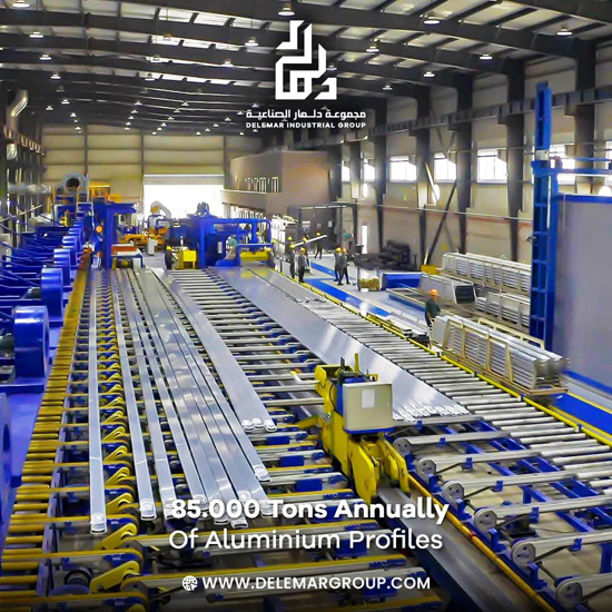 مجموعة دلمار الصناعية (6)