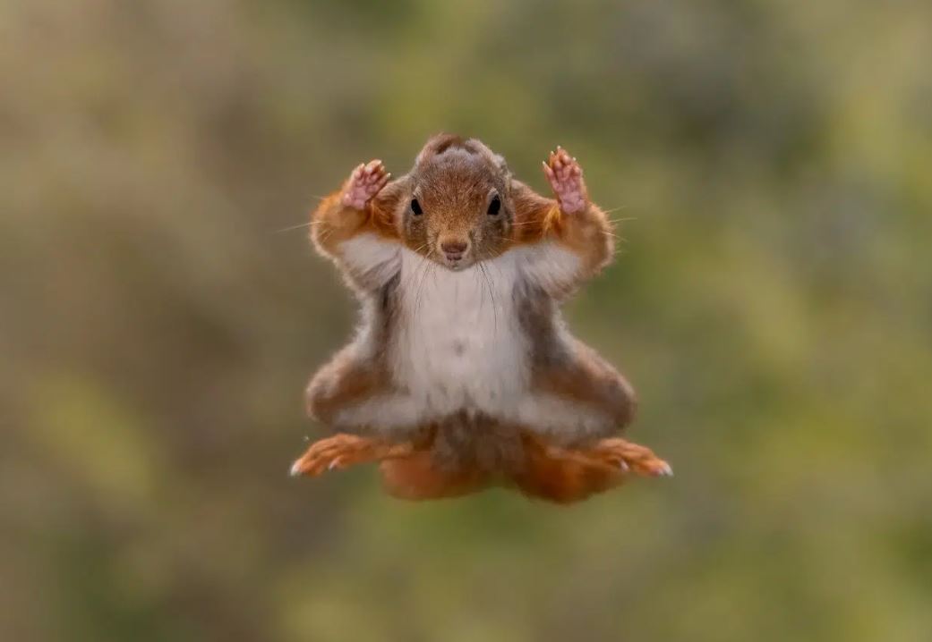 ستيفان كرويسبيرجس