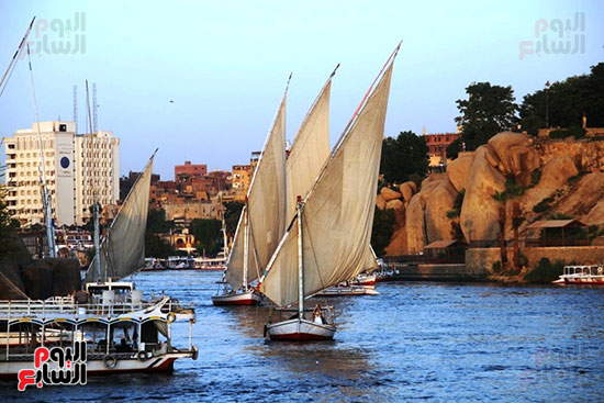 المراكب-الشراعية