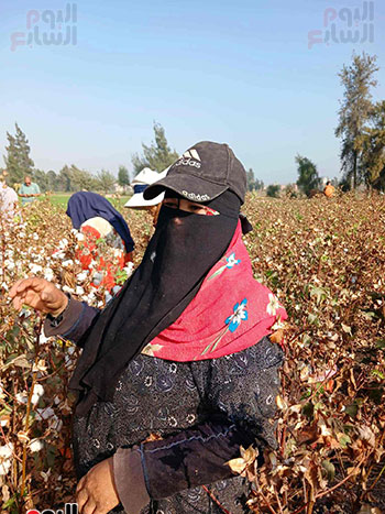 السعى-على-الرزق-الحلال السعى-على-الرزق-الحلال