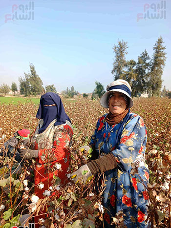 الايادى-الناعمة الايادى-الناعمة