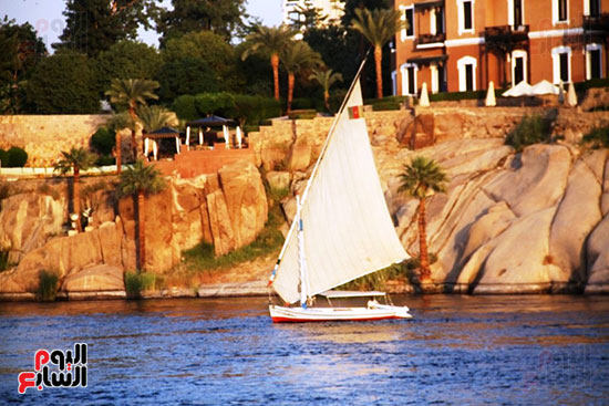 مركب-شراعى-فى-النيل