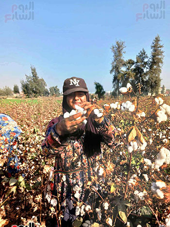 المراة-الريفية المراة-الريفية