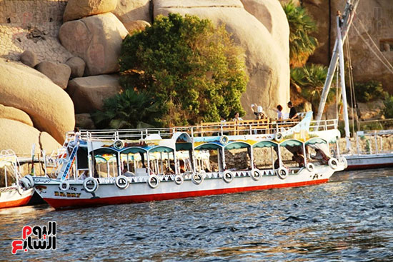 أسوان.. حكاية مدينة ساحرة على النيل تتلألأ فى موسم الشتاء جنوب مصر