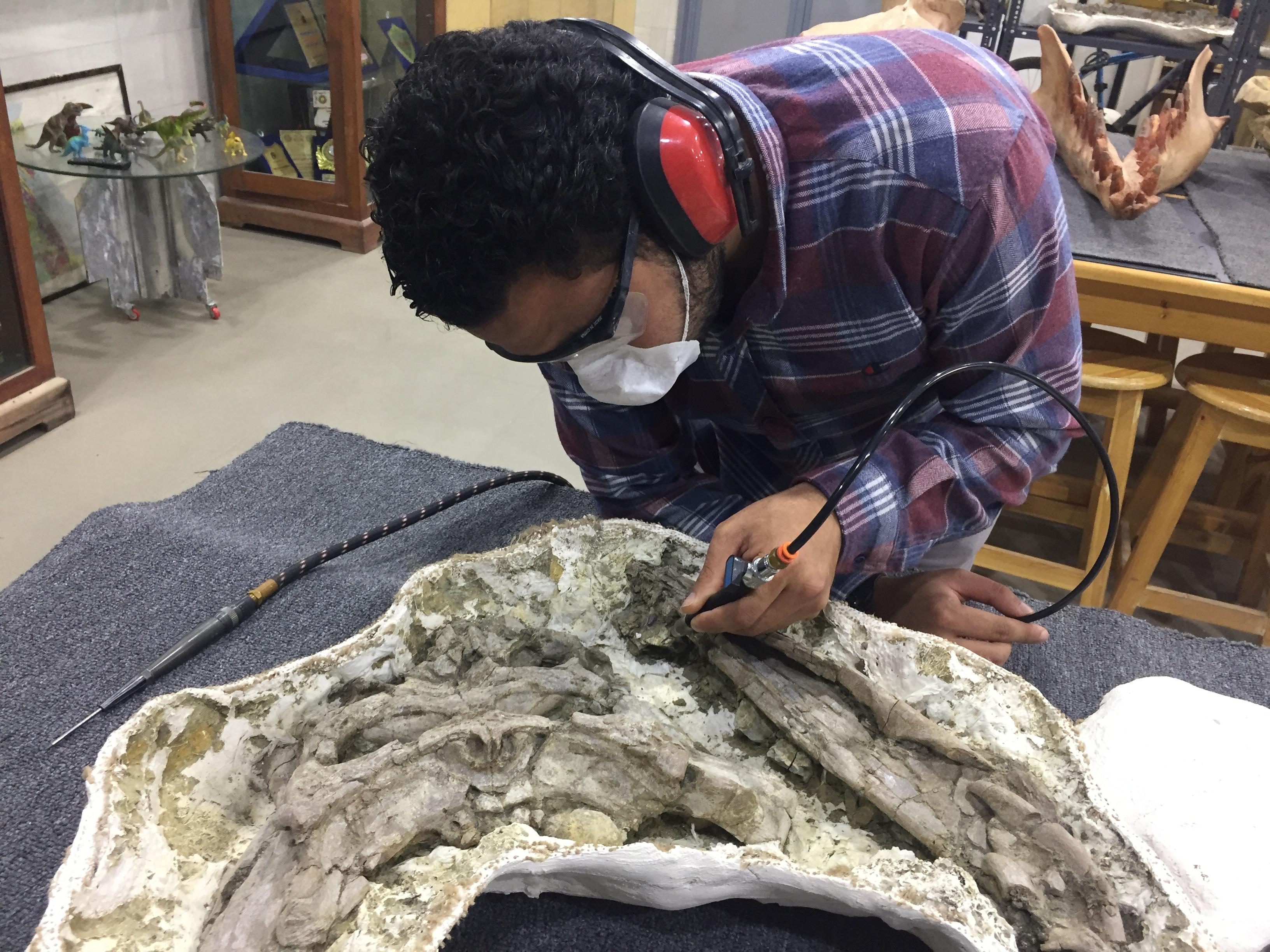 أثناء العمل على المشروع