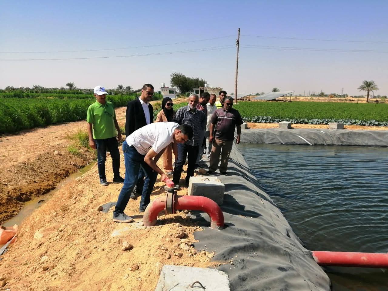 تشجيع عودة الإنتاج السمكي