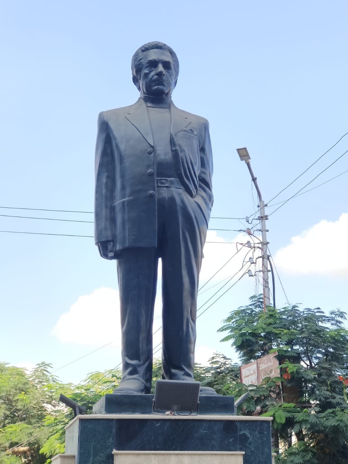 تمثال أنيس منصور (4)