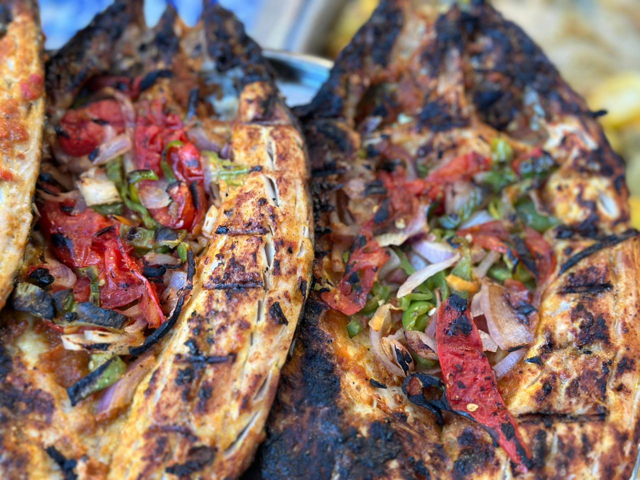 السنجاري ببورسعيد