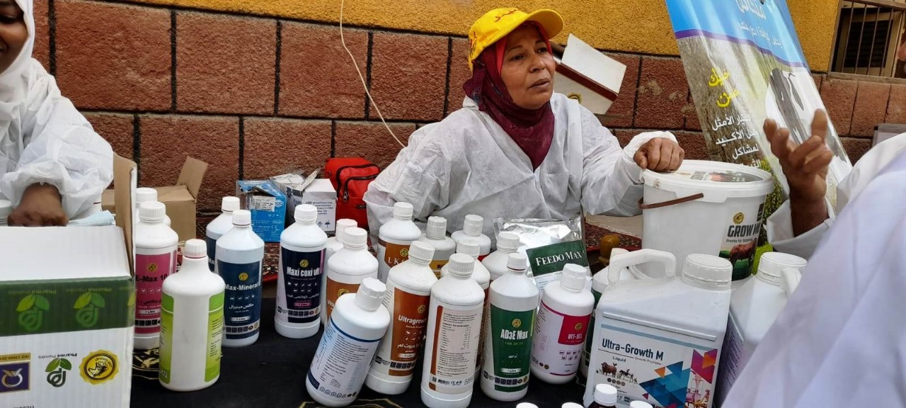 قوافل وخدمات بيطرية (3)