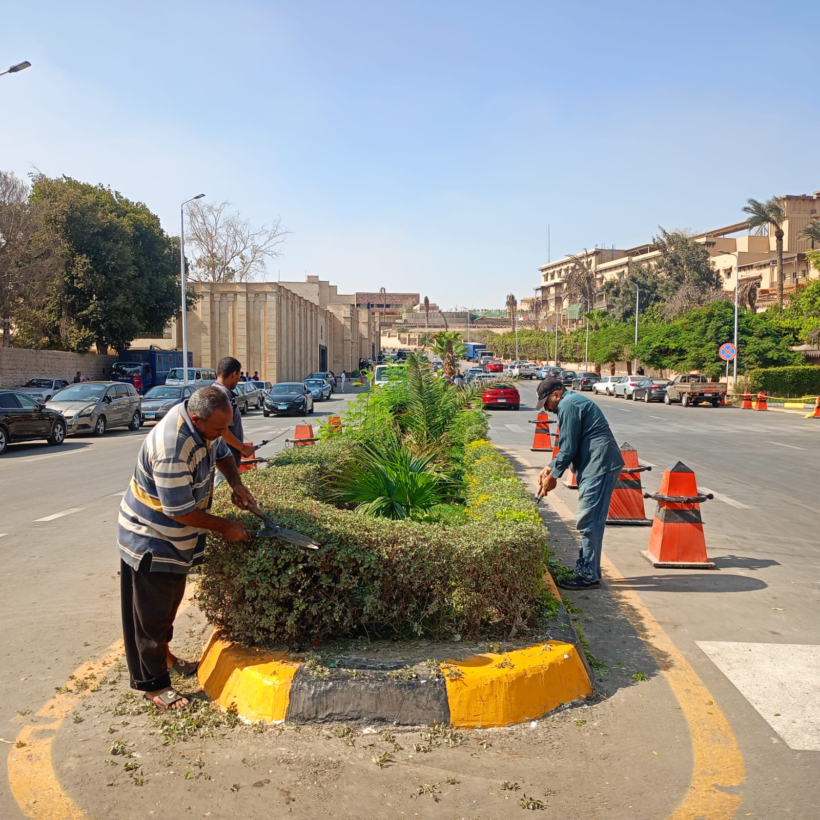 صيانة الطرق والمسطحات الخضراء في محيط المتحف (2)