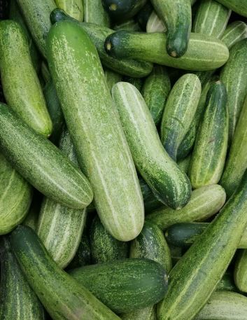 تفسير حلم الخيار