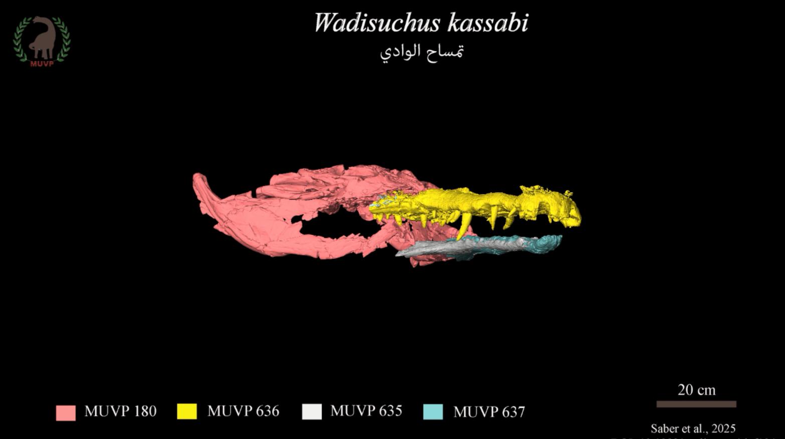 تمساح الوادي