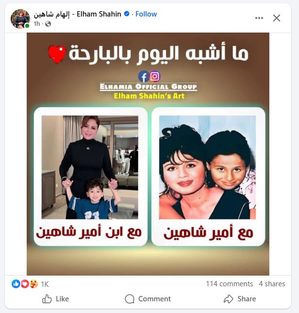 إلهام شاهين