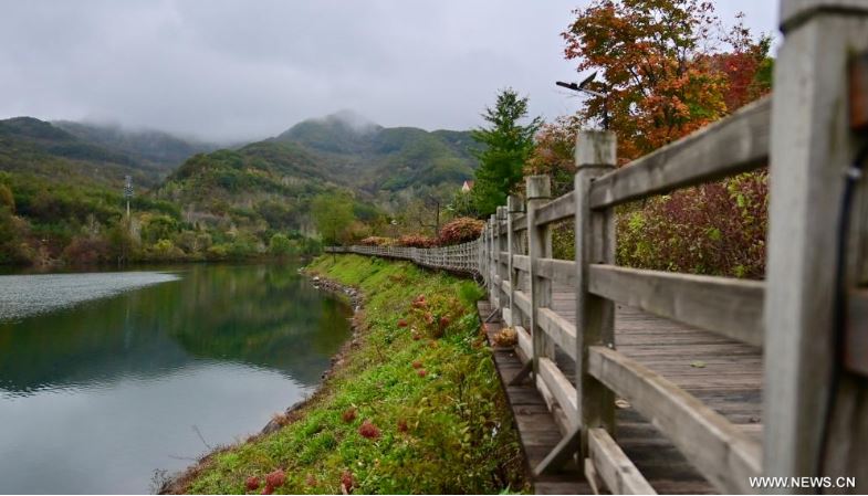 فصل الخريف يرسم لوحات بديعة على حدائق ومتنزهات الصين (6)