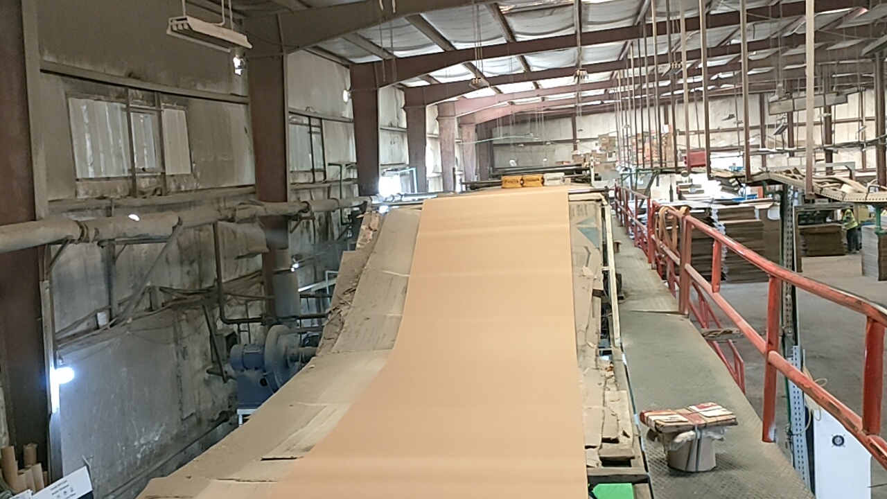 خط إنتاج الكرتون