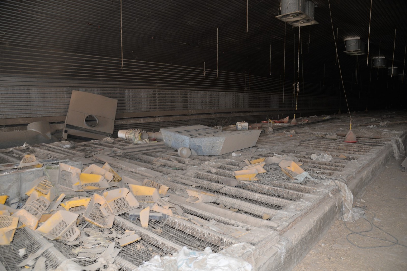 مزرعة عرب العوامر (1)